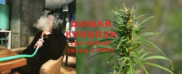 сатива Володарск