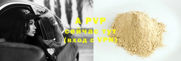 сатива Володарск