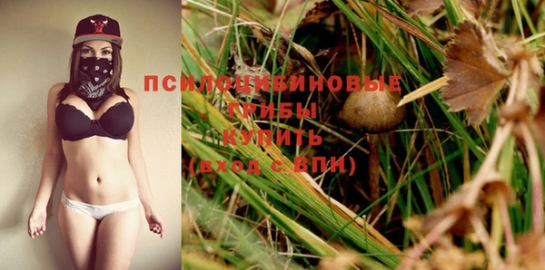 сатива Володарск