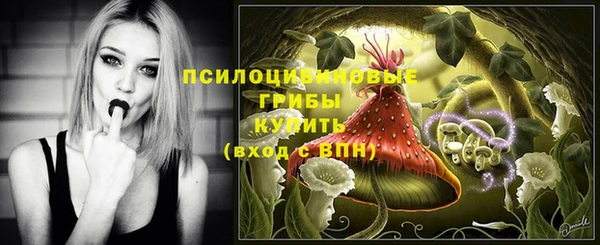 гашик Волоколамск