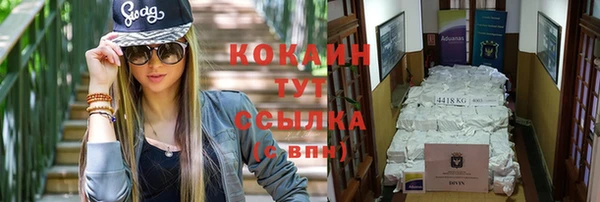 прущие грибы Вяземский