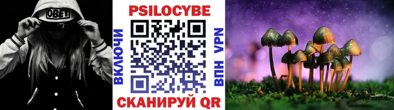 Галлюциногенные грибы Magic Shrooms  купить   hydra   Калининград 